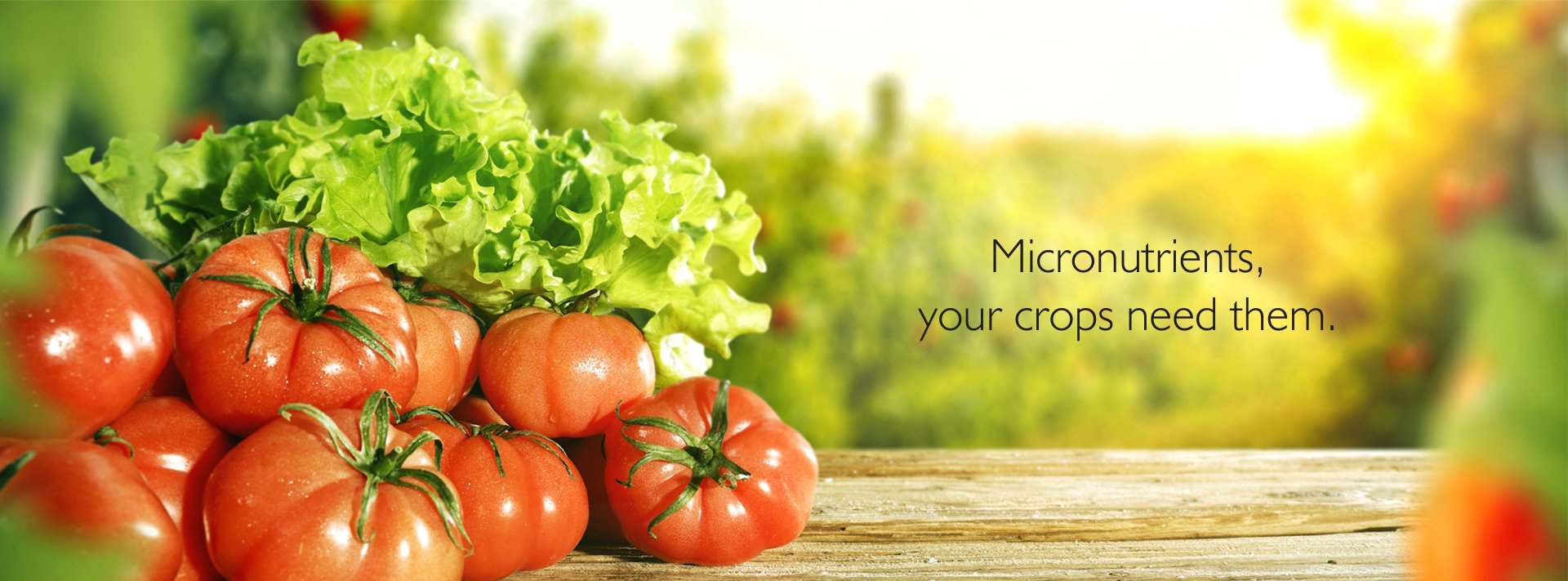 agromax
