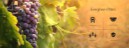 banner1