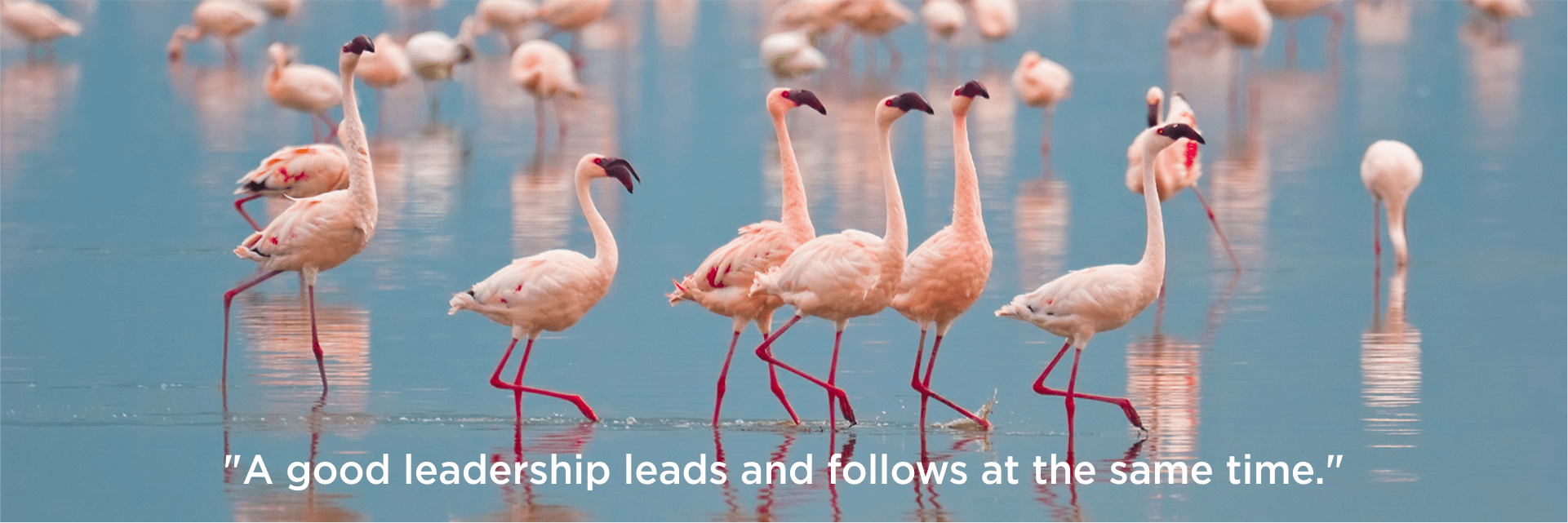 evergreen-leadership