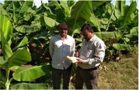 agromax-on-field