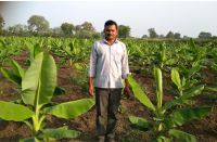 agromax-on-field