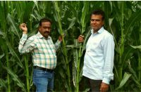 agromax-on-field