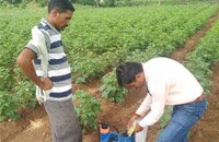 agromax-on-field