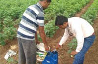 agromax-on-field