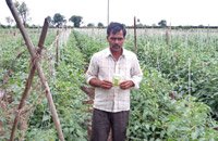 agromax-on-field