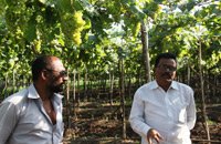 agromax-on-field