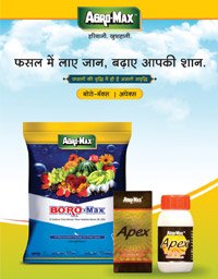 agromax-posters